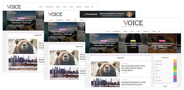 Voice - Clean News/Magazine WordPress Theme